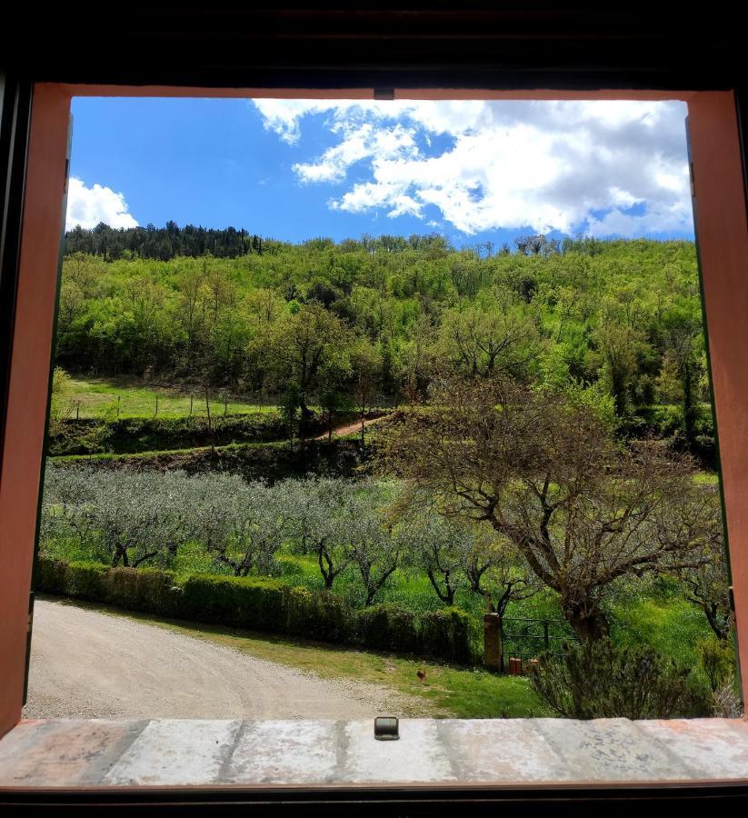 B&B I Martelli Trevi Kültér fotó