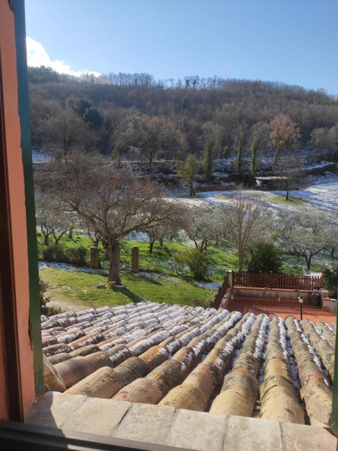 B&B I Martelli Trevi Kültér fotó